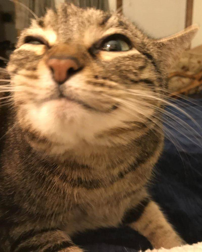 reddit.com//ballerinafat